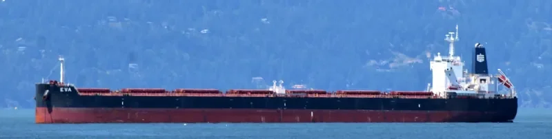 EVA Bulk Carrier IMO 9658068 photo 4