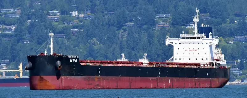 EVA Bulk Carrier IMO 9658068 photo 5