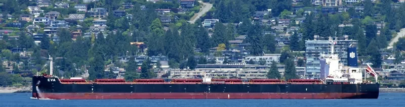 EVA Bulk Carrier IMO 9658068 photo 6