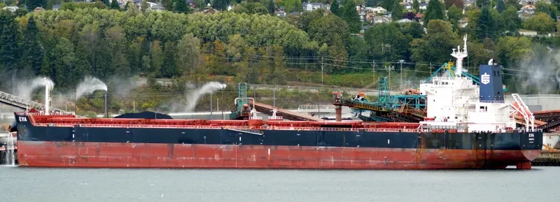 EVA Bulk Carrier IMO 9658068 photo 7