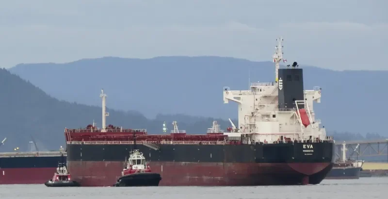 EVA Bulk Carrier IMO 9658068 photo 8