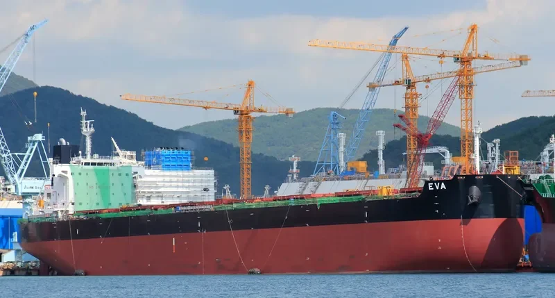 EVA Bulk Carrier IMO 9658068 photo 9