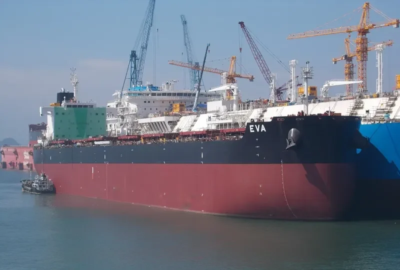 EVA Bulk Carrier IMO 9658068 photo 10