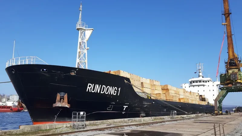 RUN DONG 1 General Cargo IMO 9658161 photo 9