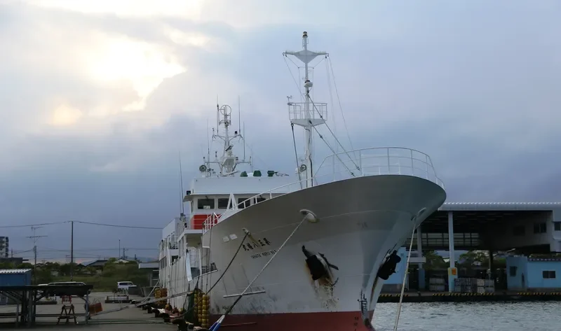 YAHATA MARU NO.5 General Cargo IMO 9658549 photo 4