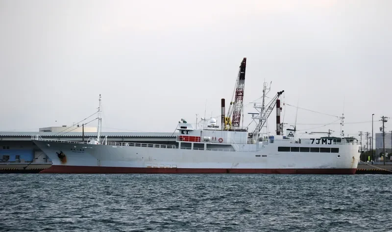 YAHATA MARU NO.5 General Cargo IMO 9658549 photo 6