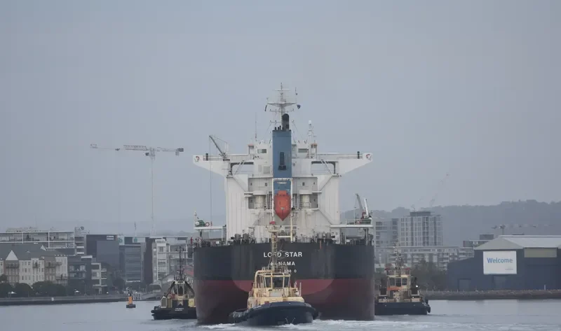 LORD STAR Bulk Carrier IMO 9658680