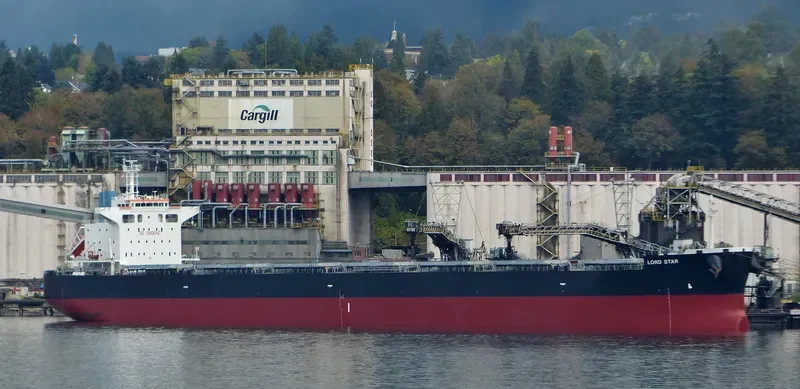 LORD STAR Bulk Carrier IMO 9658680 photo 6