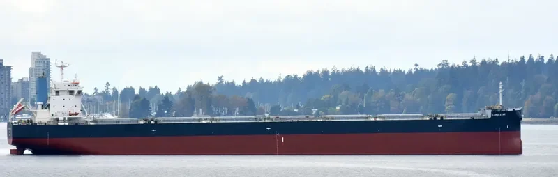LORD STAR Bulk Carrier IMO 9658680 photo 9
