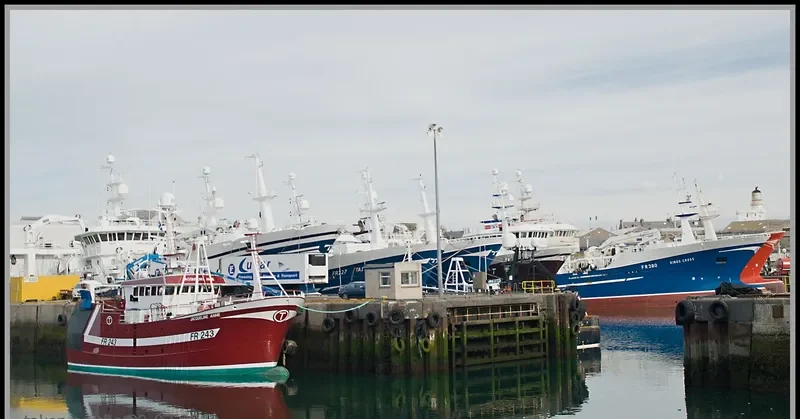 JACQUELINE ANN General Cargo IMO 9658745 photo 8