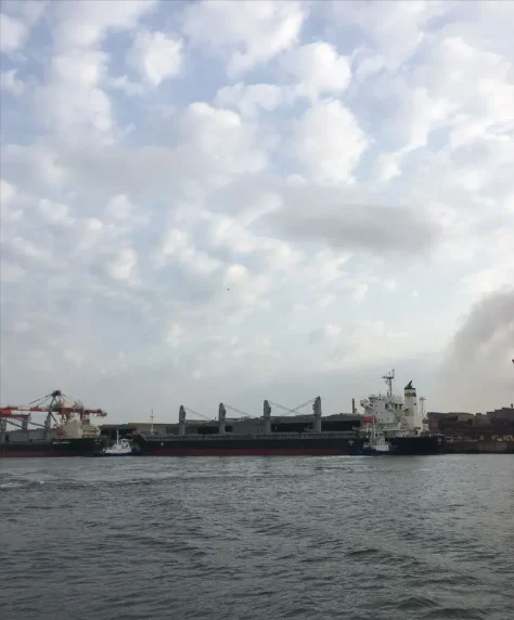 ASPRI Bulk Carrier IMO 9658771