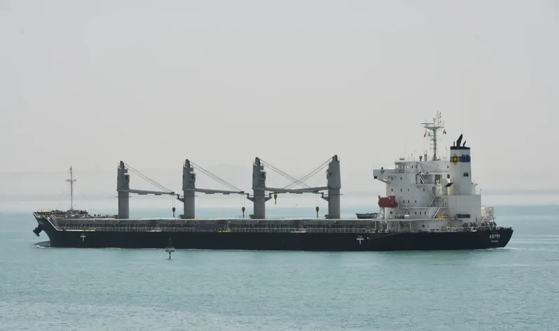 ASPRI Bulk Carrier IMO 9658771 photo 2