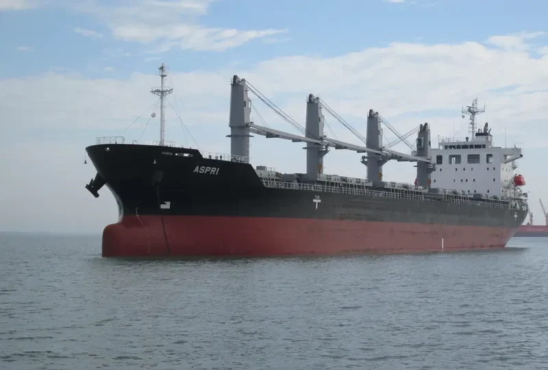 ASPRI Bulk Carrier IMO 9658771 photo 4