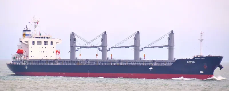 ASPRI Bulk Carrier IMO 9658771 photo 6