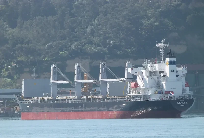 LEFKES Bulk Carrier IMO 9658783 photo 6
