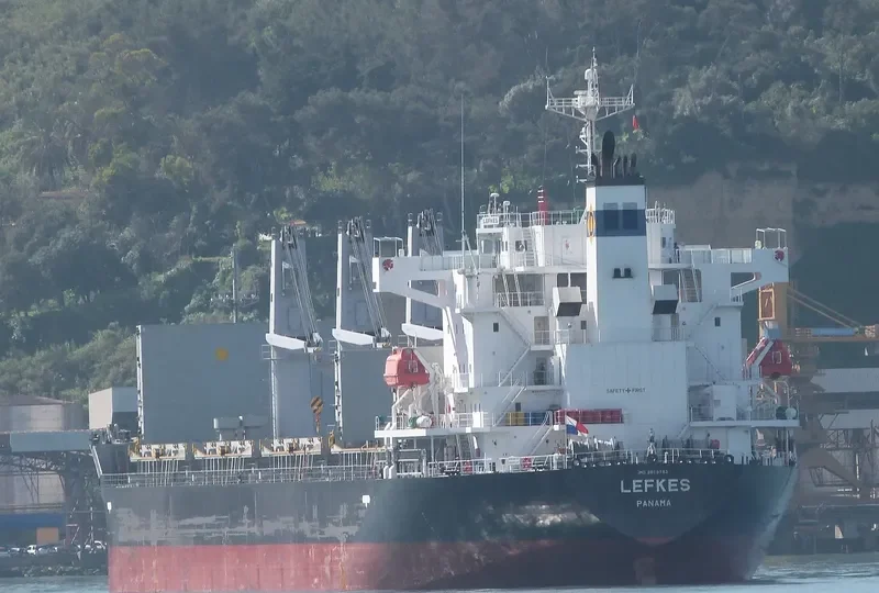 LEFKES Bulk Carrier IMO 9658783 photo 7