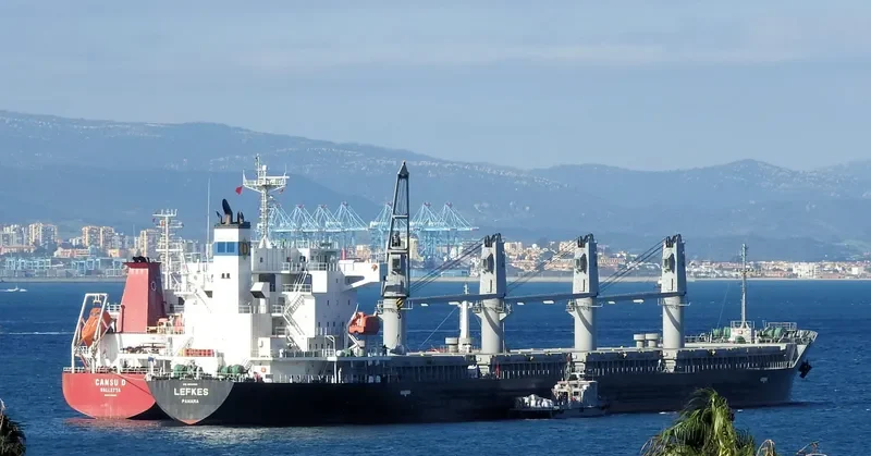 LEFKES Bulk Carrier IMO 9658783 photo 9