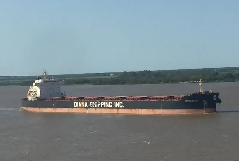 CRYSTALIA Bulk Carrier IMO 9658874 photo 4