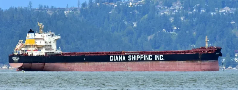 CRYSTALIA Bulk Carrier IMO 9658874 photo 5