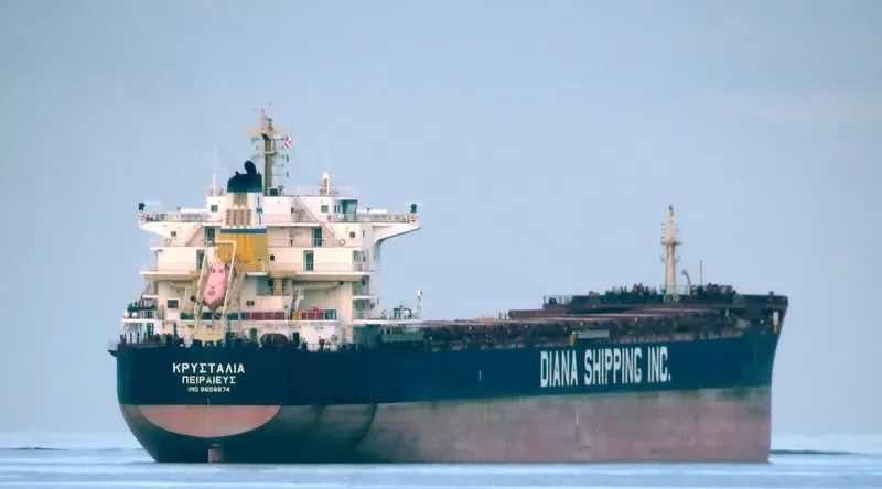 CRYSTALIA Bulk Carrier IMO 9658874 photo 7