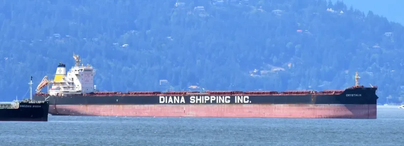 CRYSTALIA Bulk Carrier IMO 9658874 photo 9