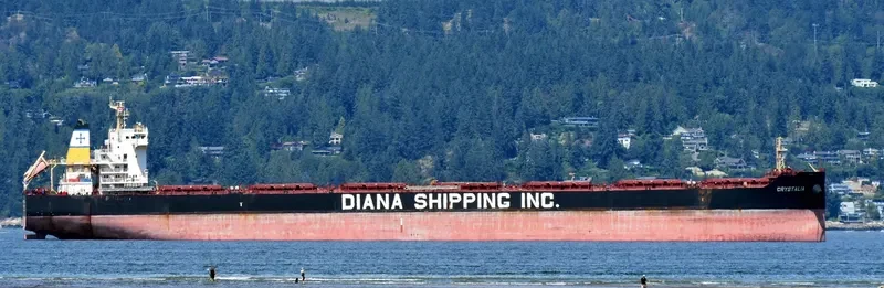 CRYSTALIA Bulk Carrier IMO 9658874 photo 10