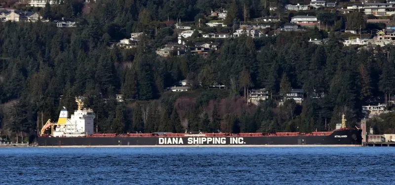 ATALANDI Bulk Carrier IMO 9658886 photo 3