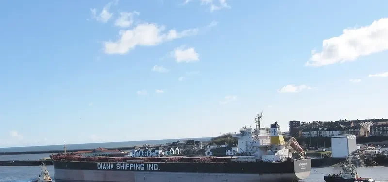 ATALANDI Bulk Carrier IMO 9658886 photo 10