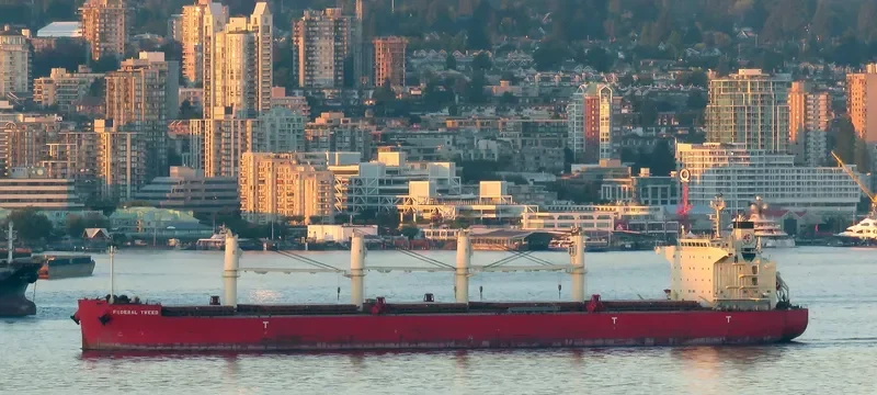 FEDERAL TWEED Bulk Carrier IMO 9658898