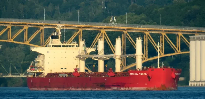 FEDERAL TWEED Bulk Carrier IMO 9658898 photo 2