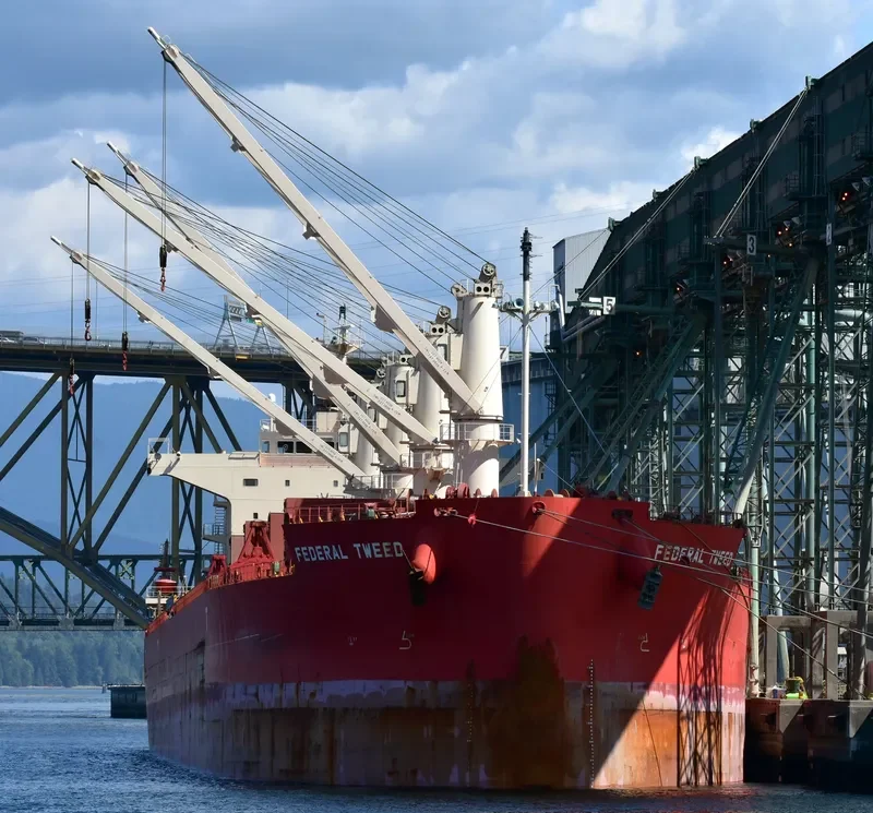 FEDERAL TWEED Bulk Carrier IMO 9658898 photo 3