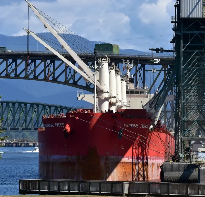 FEDERAL TWEED Bulk Carrier IMO 9658898 photo 4