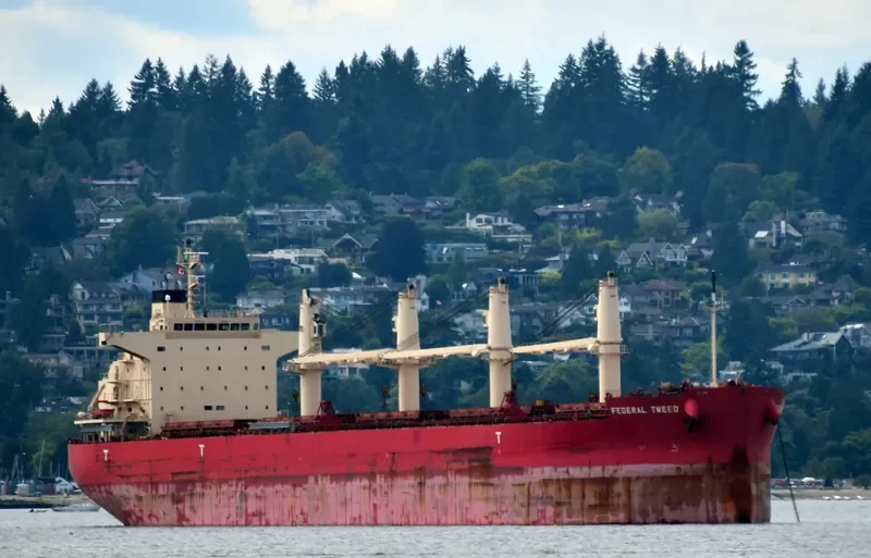 FEDERAL TWEED Bulk Carrier IMO 9658898 photo 6