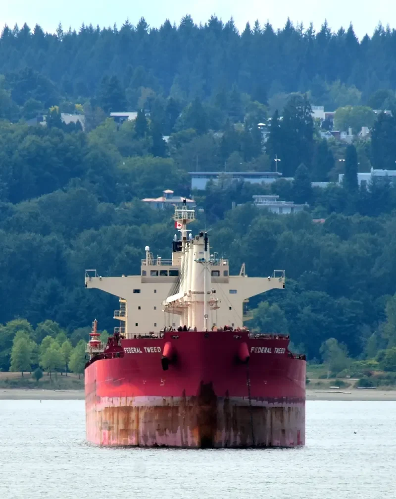 FEDERAL TWEED Bulk Carrier IMO 9658898 photo 7