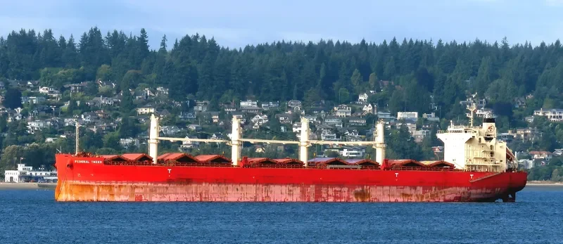 FEDERAL TWEED Bulk Carrier IMO 9658898 photo 8