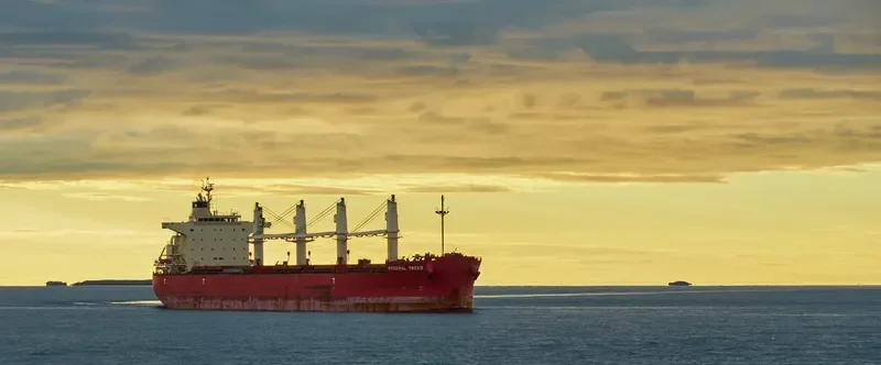 FEDERAL TWEED Bulk Carrier IMO 9658898 photo 9