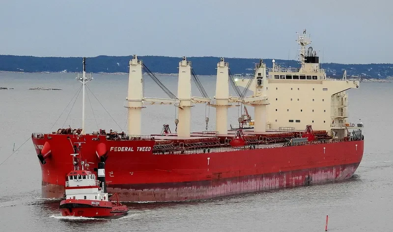 FEDERAL TWEED Bulk Carrier IMO 9658898 photo 10