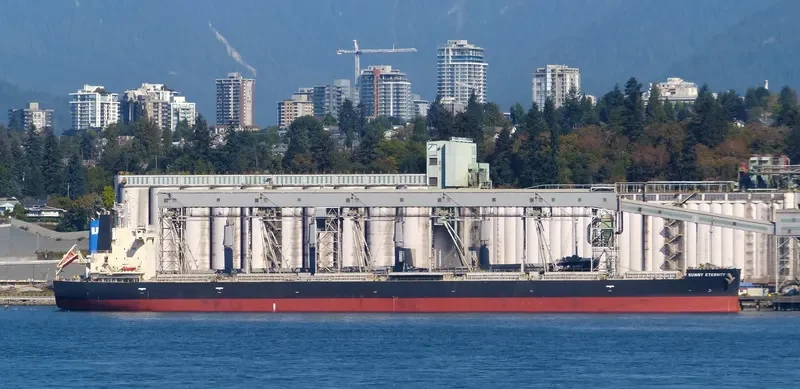 SUNNY ETERNITY Bulk Carrier IMO 9658915 photo 2