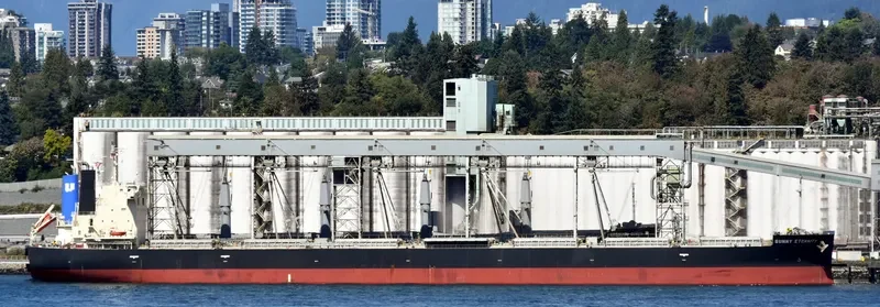 SUNNY ETERNITY Bulk Carrier IMO 9658915 photo 3