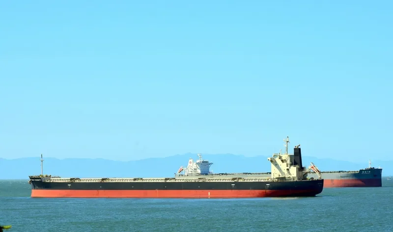 SUNNY ETERNITY Bulk Carrier IMO 9658915 photo 4