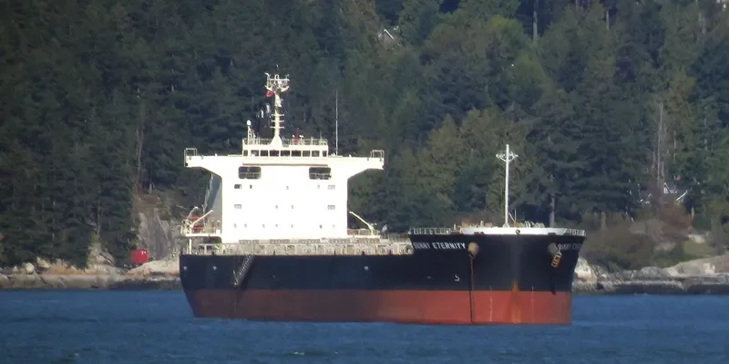SUNNY ETERNITY Bulk Carrier IMO 9658915 photo 5