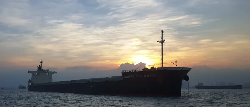 SUNNY ETERNITY Bulk Carrier IMO 9658915 photo 6
