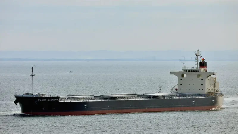 SUNNY ETERNITY Bulk Carrier IMO 9658915 photo 7