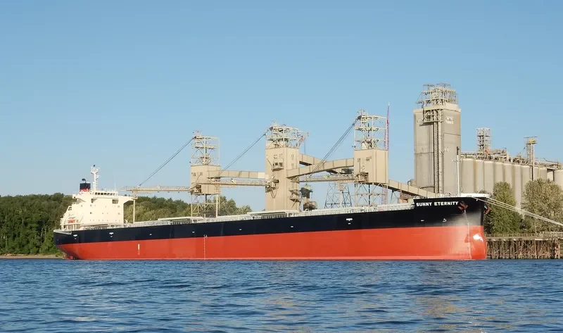 SUNNY ETERNITY Bulk Carrier IMO 9658915 photo 8