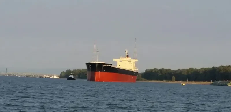 SUNNY ETERNITY Bulk Carrier IMO 9658915 photo 10