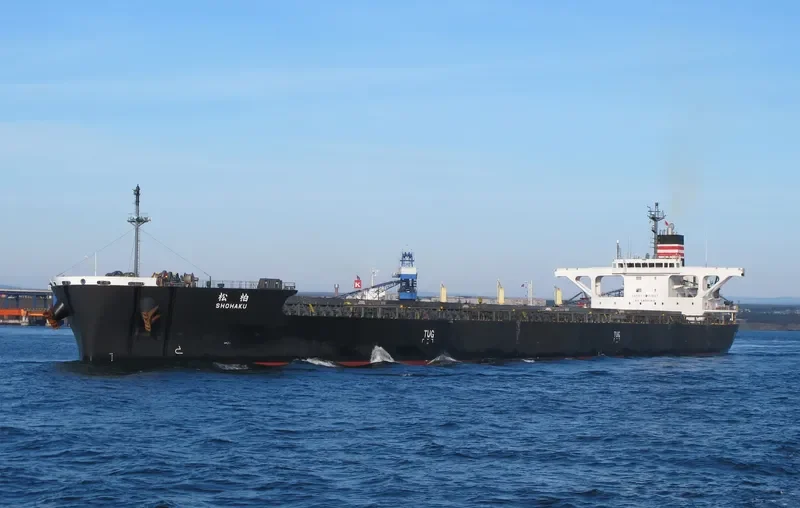 SHOHAKU Bulk Carrier IMO 9658927