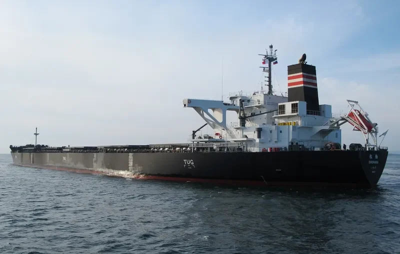 SHOHAKU Bulk Carrier IMO 9658927 photo 2