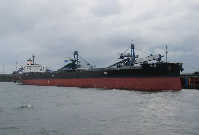 SHOHAKU Bulk Carrier IMO 9658927 photo 3