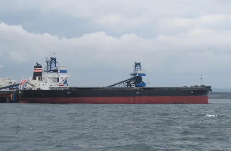 SHOHAKU Bulk Carrier IMO 9658927 photo 4