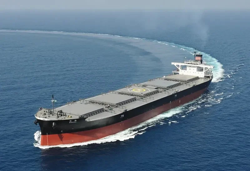 SHOHAKU Bulk Carrier IMO 9658927 photo 5